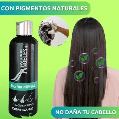 Shampoo  Anti - Canas + Obsequio