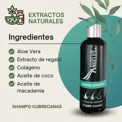 Shampoo  Anti - Canas + Obsequio