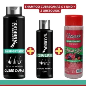 Shampoo  Anti - Canas + Obsequio